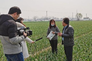 Agronomist Mr. Zhang from Heben Group — Help Farmers Solve Problems of Garlic