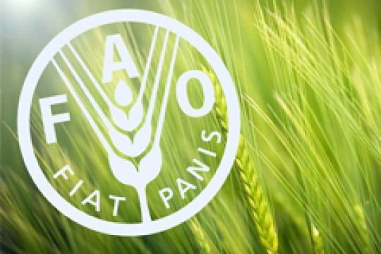 Learning FAO Specifications Learning FAO Specifications