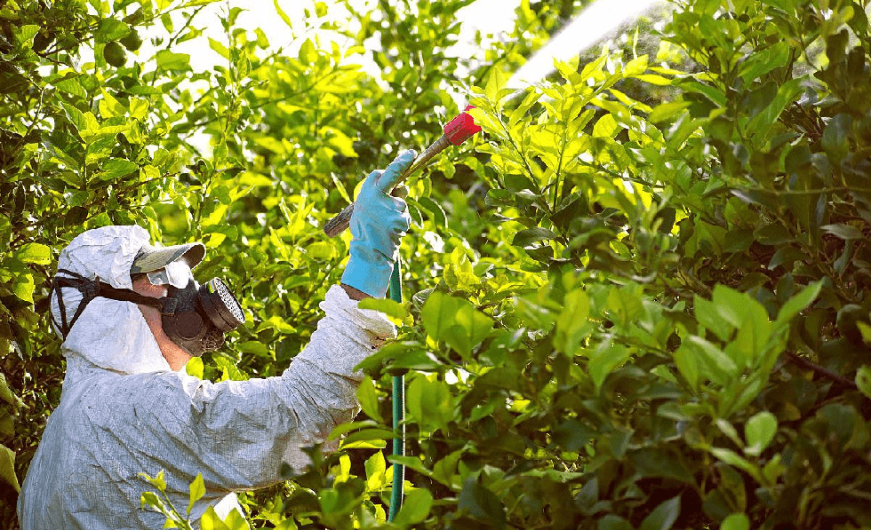 How can you find Indoxacarb with good quality and low price