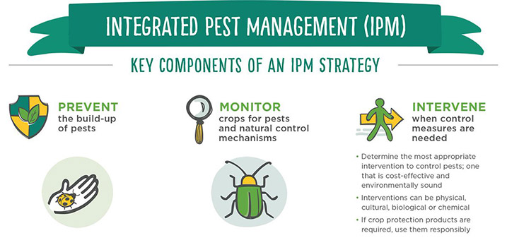 Integrated Pest Management (IPM) Tebufenozide