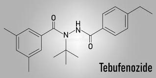 chemical structure of Tebufenozide